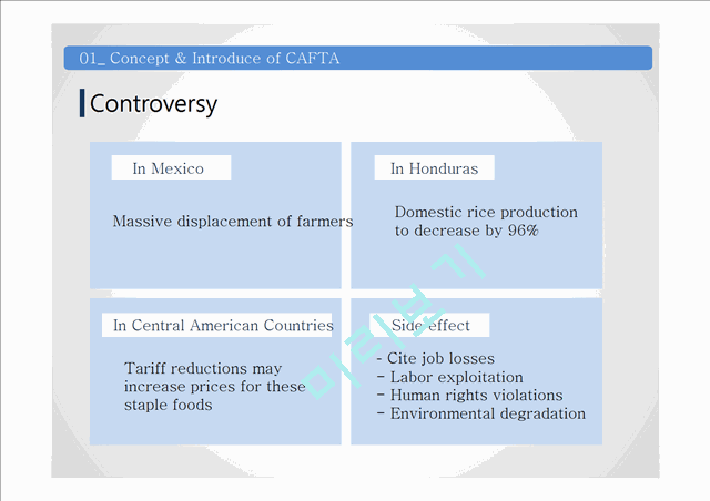 CAFTA(Central American Free Trade Agenda) 영문분석   (4 )